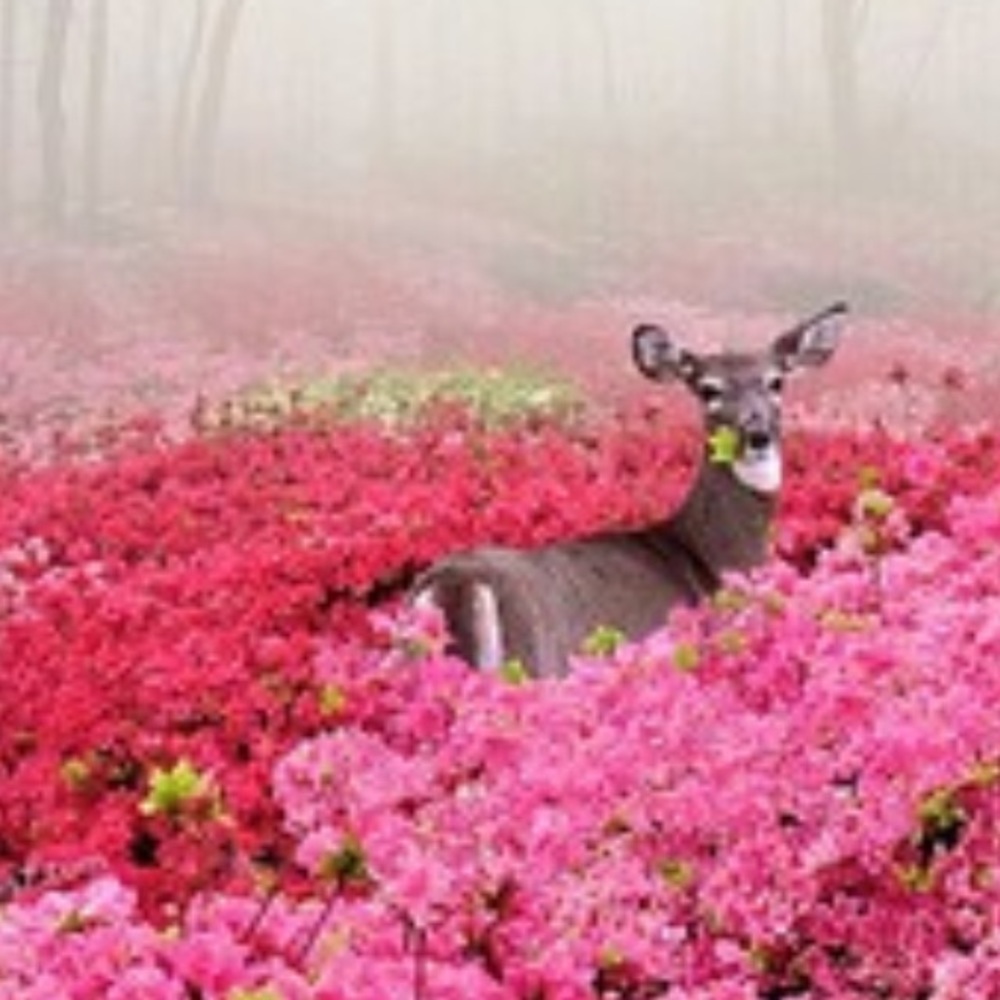 Meet your Posher, Jocelyn